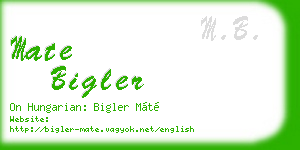 mate bigler business card